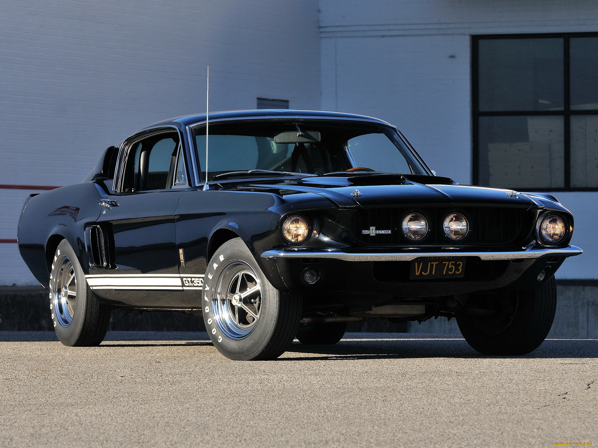 , mustang, gt350, shelby